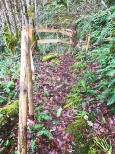 2025 12 21 13 21 56 252